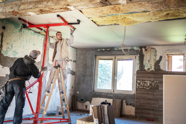 Best Residential Insulation Services  in Frederick, CO